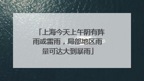 上海今天上午阴有阵雨或雷雨，局部地区雨量可达大到暴雨